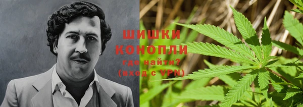 гидра Арсеньев