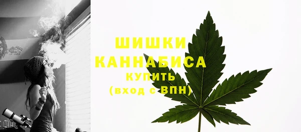 гидра Арсеньев