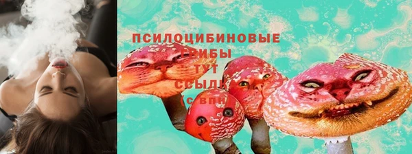 крисы Аркадак