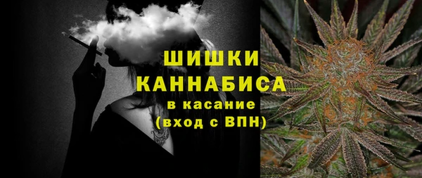 гидра Арсеньев