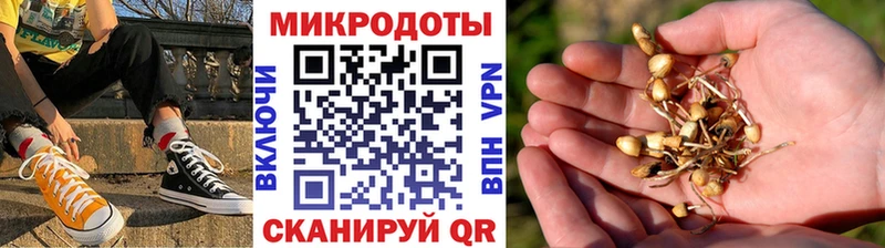 купить наркотики цена Баймак Псилоцибиновые грибы Magic Shrooms